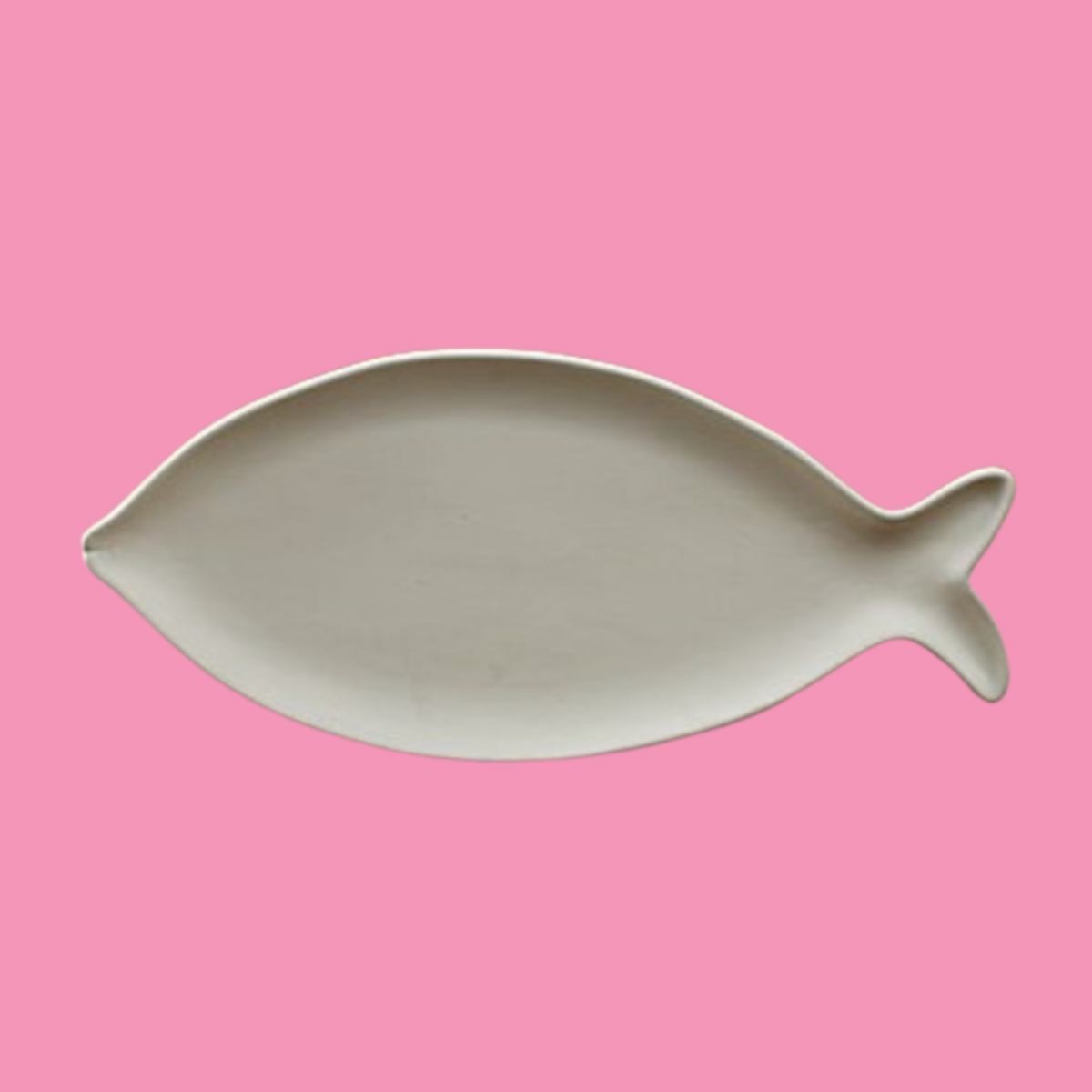 Grote vis borrelplateau (47 x 20 cm)